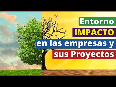 , title : '¿Quieres Asegurar el ÉXITO de tus Proyectos? Aprende cómo son impactados por el entorno empresarial🌄'