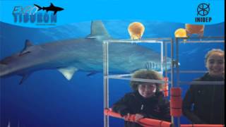 DIA 3 Expo Tiburon155