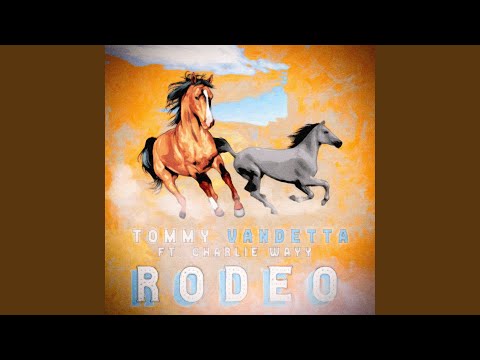 Rodeo (feat. Charlie Wayy)