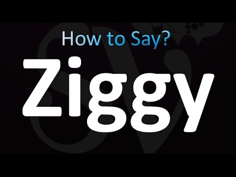 How to Pronounce Ziggy