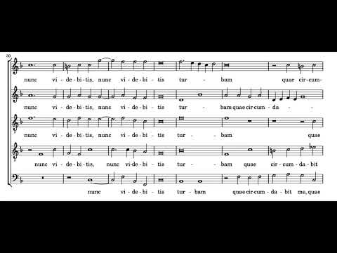 Tristis est anima mea (O. de Lasso) Score Animation