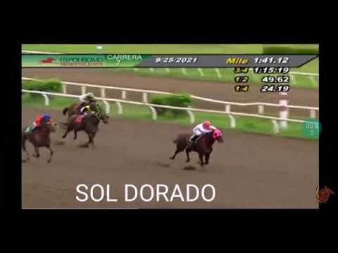 Participantes de la Copa Confraternidad 2021