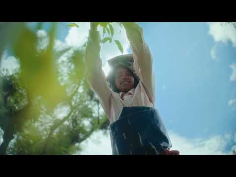 For Tea culture of the world