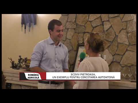 SCDVV PIETROASA, un exemplu pentru cercetarea autohtonă
