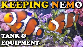 Keeping NEMO: What AQUARIUM & EQUIPMENT To Keep CLOWNFISH | Are Clownfish EXPENSIVE To Keep?