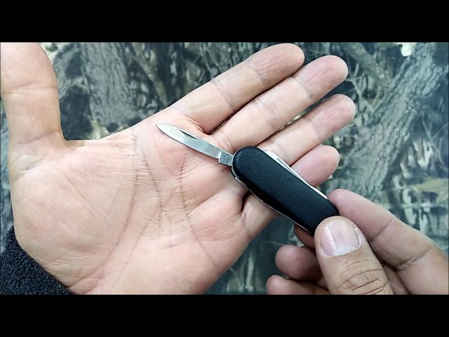 Vídeo relacionado con JEXOWIQ 3Pcs Navajas De Bolsillo Para Acampada Y Marcha,Mini Edc Navaja De Bolsillo, Pequeña Navaja Plegable De Titanio Con Orificio Para Llavero Incorporado Para Llevar Todos Los Días