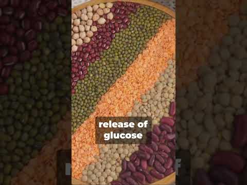 Debunking Nutrition Myth: The Carbs Conundrum