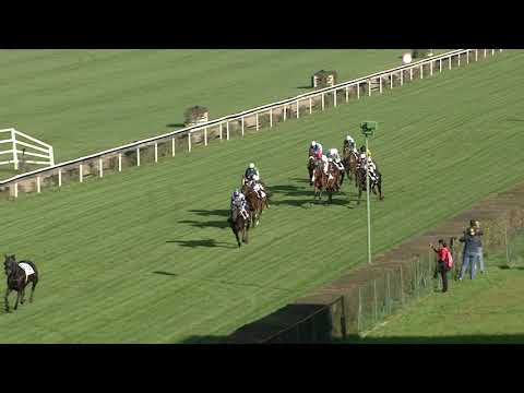 2. dostih - Cena za podpory PREMIN - dostihy Pardubice 26. 10. 2019