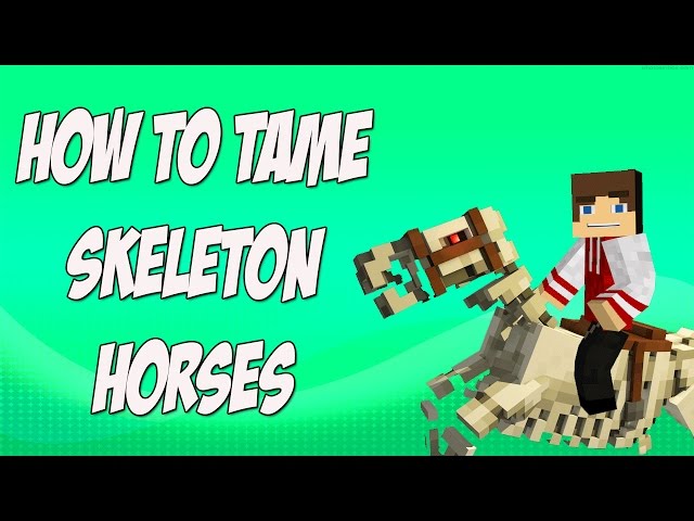 Top 5 Things You Probably Didn T Know About Skeleton Horses In Minecraft Top 5 Things You Probably Didn T Know About Skeleton Horses In Minecraft