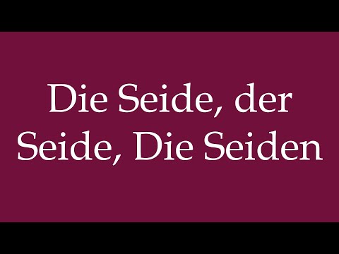 How to Pronounce ''Die Seide, der Seide, Die Seiden'' Correctly in German