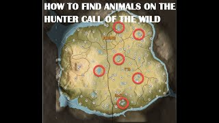 HOW TO FIND ANIMALS ON THE HUNTER CALL OF THE WILD