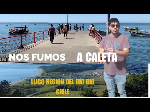 Falta hacer publicidad en la comuna de Arauco y bio bio 