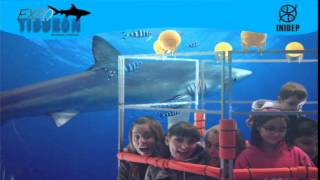 DIA 2 Expo Tiburon272