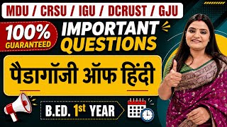 Pedagogy of Hindi Most Important Questions | B.ED. 1st Year | MDU CRSU IGU DCRUST GJU