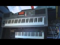 She is Beautiful (Andrew W.K. keyboard cover ...