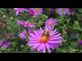 Yen Enathu Idhayam Thudikkum Song