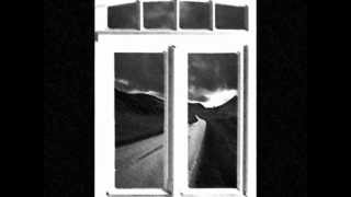 The Bird That I Held In My Hand - T Bone Burnett (cover version)