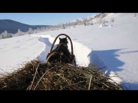 Winter transport of hay in the mountains of Chinese Altai