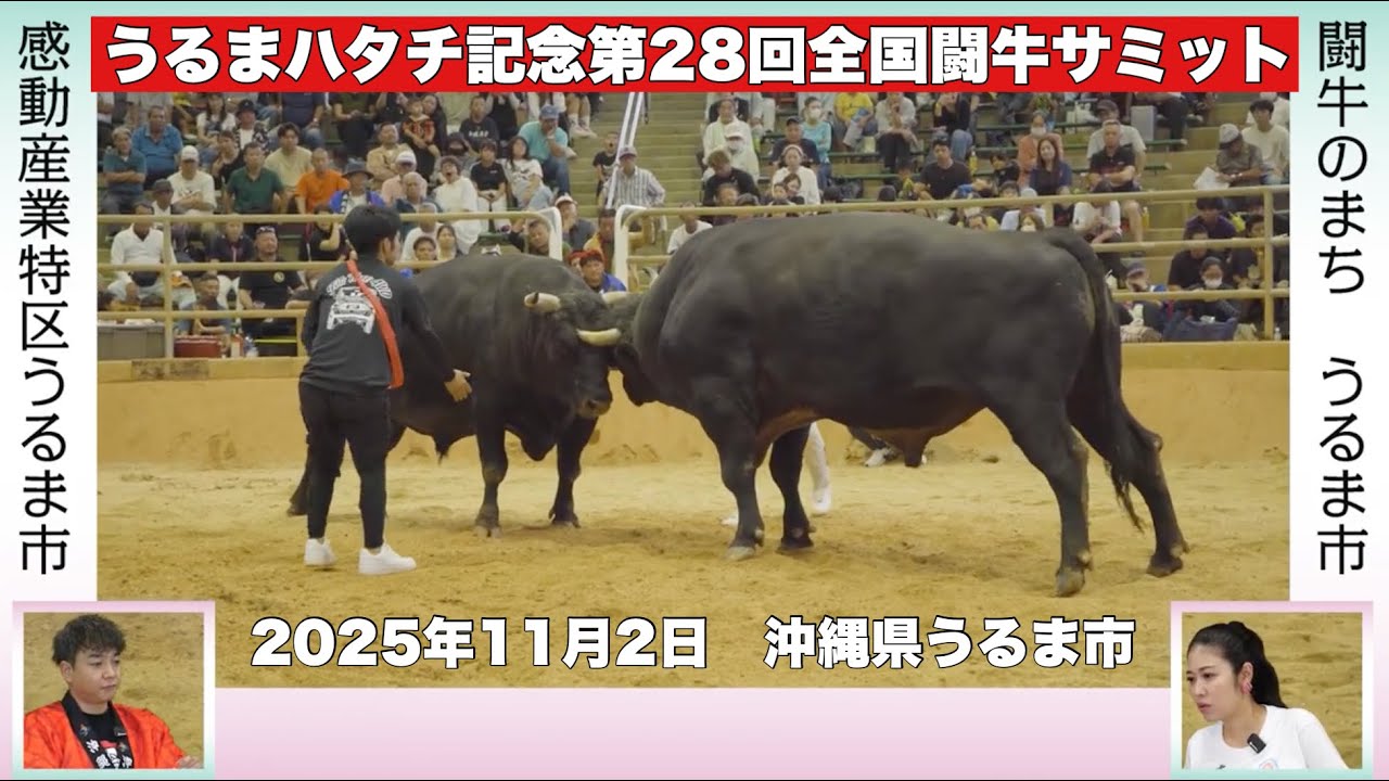 うるまハタチ記念 第28回全国闘牛サミットを振り返る｜あの対戦カードは、なぜ実現したのか