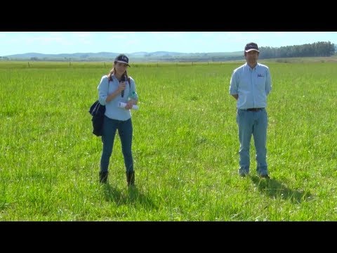 Día de Campo - Unidad Experimental Palo a Pique 2019 - Virginia Pravia y Pablo Rovira