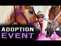 Adoption Event - Horse Rescue Heroes | S3E6