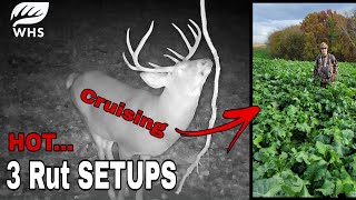 3 Afternoon Whitetail Rut Setups