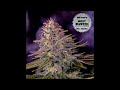 19 The Pharcyde ft  J Ro   Bongloads II