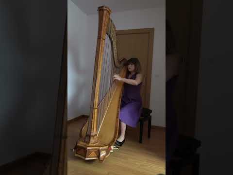 Albert Zabel - Concert study nº 1