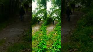 Download lagu #saban ke jhulo me tujhko bulaya my Pardesi ghar vaps aaya song mp3