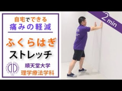 医学科 理学療法士が教える 1日1分のふくらはぎストレッチ（変形性膝関節症の方向け）