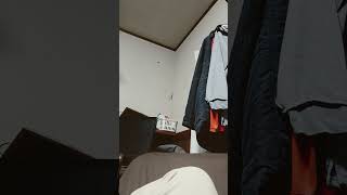ただぬしさまが張り付いてるだけ　手ブレってけっこうするもの。
