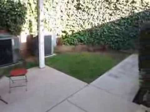 PL3836 - Beautiful 1 Bed + 1 Bath for Rent (Culver City, CA)