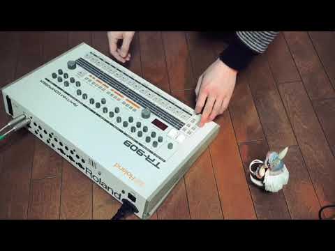 Roland TR-909 : TAP WRITE