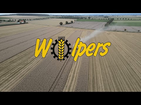 Weizenernte 2023 | Hildesheimer Börde | Claas Lexion 5500tt