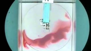 Experiment XIII: Ocean Gyres