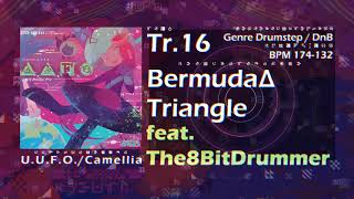 Cover art for Bermuda Δ Triangle