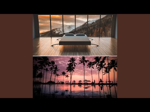 Sensational Evening Stars