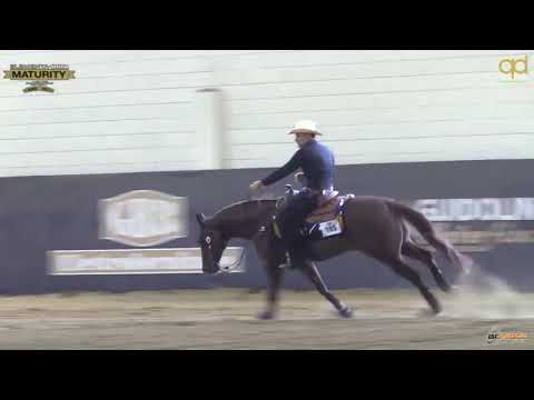 Maturity 2021 - FRANCESCO CENTARO & WHIZ A TRONIC score 212,5