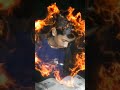Drass Change Short Video