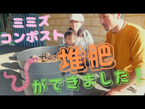 堆肥用の肥料ミミズはどこで見つけられますか?これらは、野生下で最も可能性の高い 6 つの隠れ場所です。  庭園