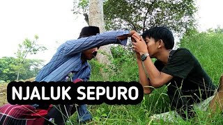 Download lagu NJALUK SEPURO mp3 Download lagu NJALUK SEPURO mp3