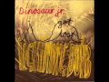Dinosaur Jr- I Got Lost
