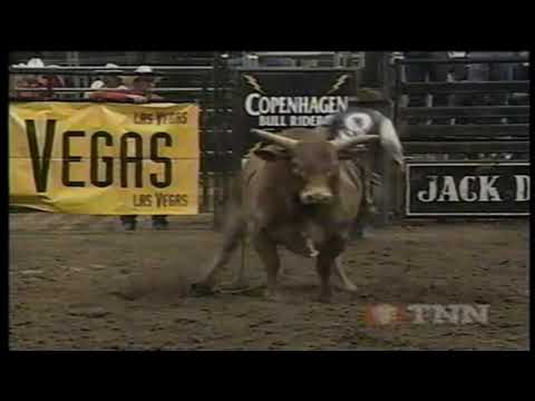 PBR 1997: Adam Brewster Cleared for Takeoff (81 pts)