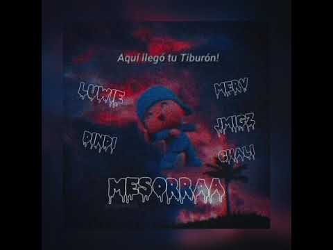 mesorra- Dindi, Chali, Merv, Luwie, Jmigz