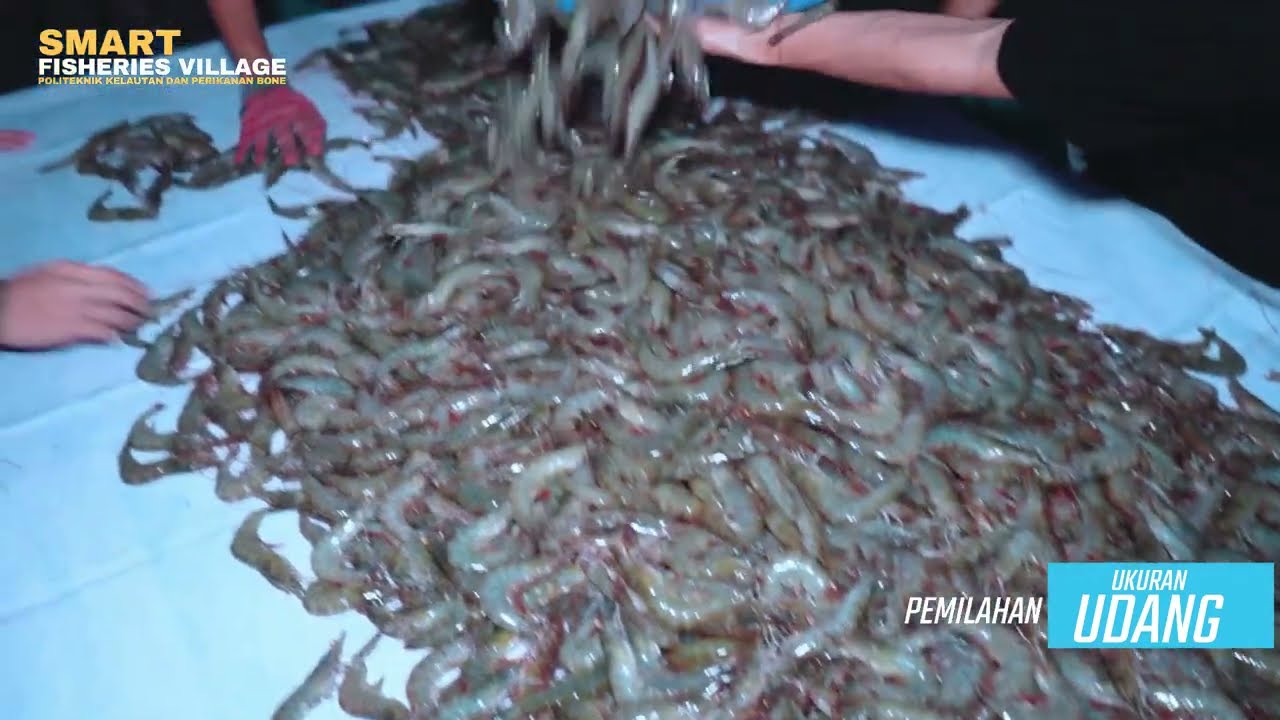 SMART FISHERIES VILLAGE 