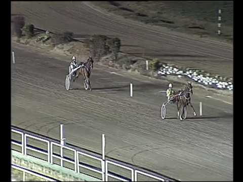 Trotto 31/01/2017 - prova di qualifica