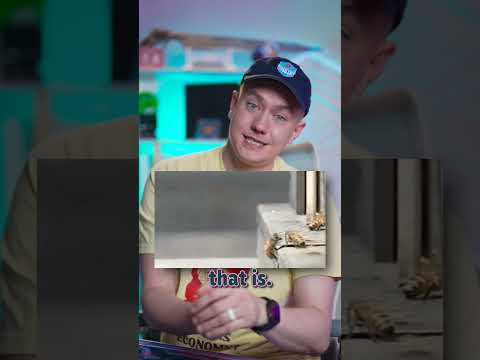 RoboBee Review Video 4