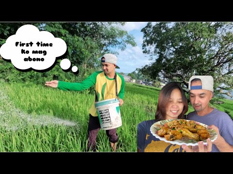 First time ni Billy mag Abono sa palay|homemade Max’s fried chicken