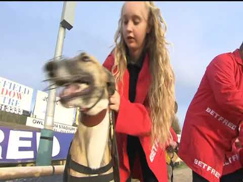 2017 BETFRED PUPPY - T4 RUSSANDA RIPLEY