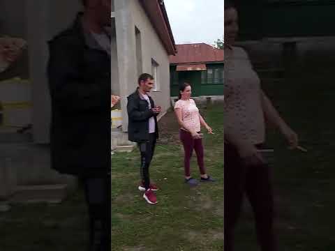 Surprize Segarcea la Seaca de Pădure